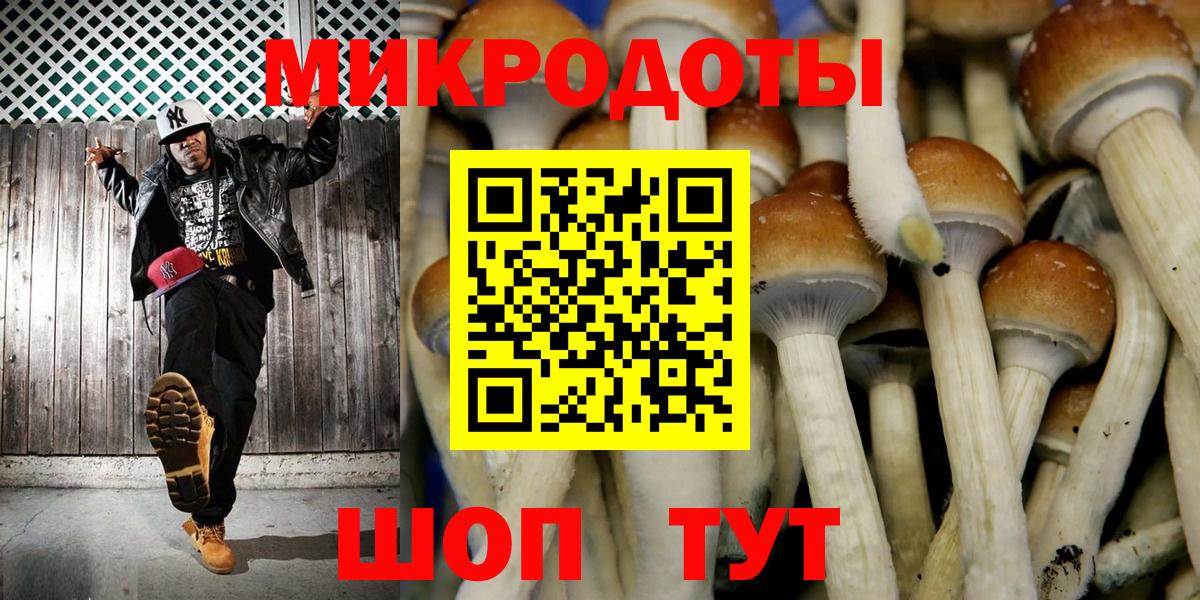 Галлюциногенные грибы мицелий Губкин