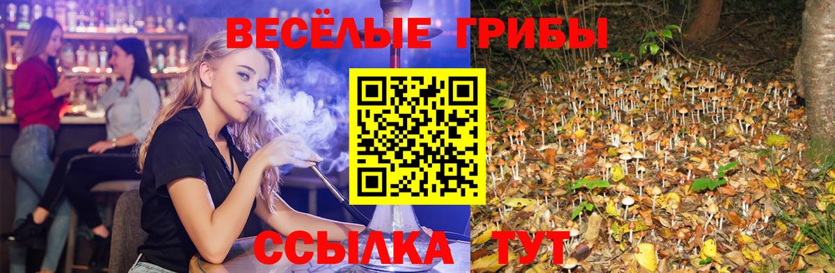 Псилоцибиновые грибы Magic Shrooms  Вход с VPN  Губкин 